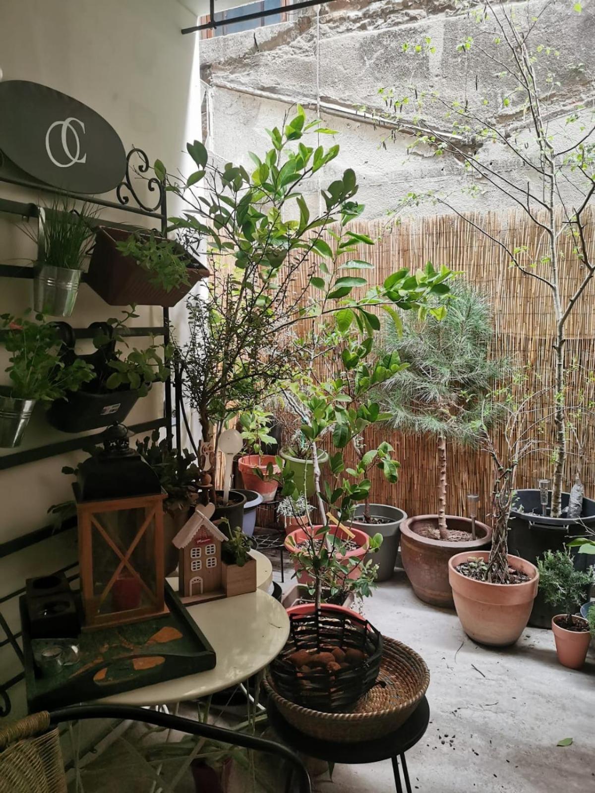 La Maison D'Aromarie Tournus Bagian luar foto